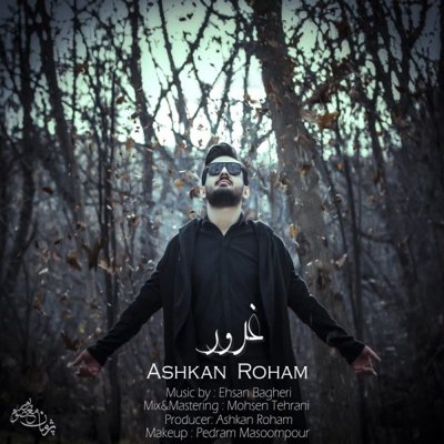 Ashkan Roham