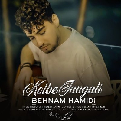 Behnam Hamidi