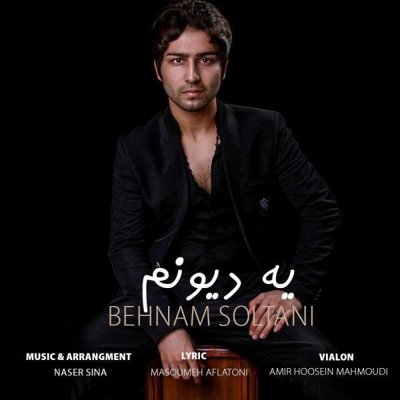 Behnam Soltani