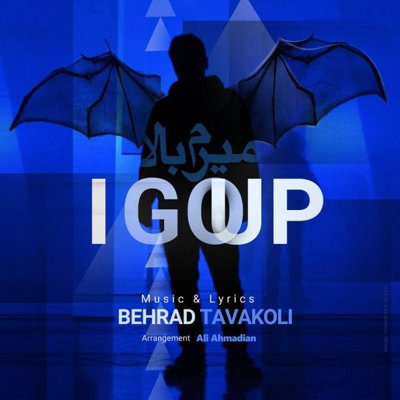 Behrad Tavakoli