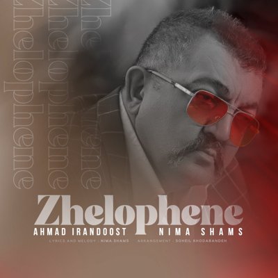 Ahmad Irandoost & Nima Shams