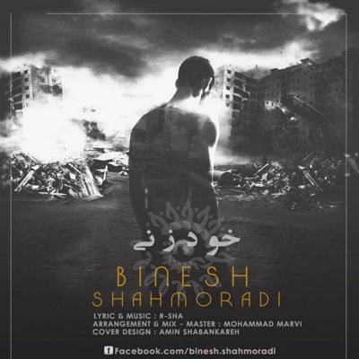 Binesh Shahmoradi