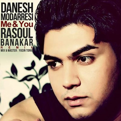 Danesh Modaresi