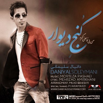 Daniyal Soleymani