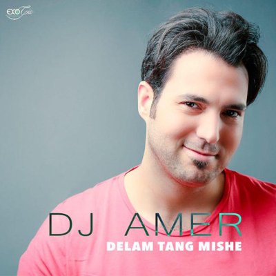 DJ Amer