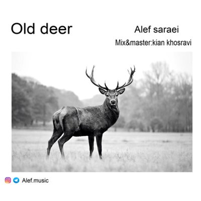 Alef Saraei