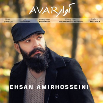 Ehsan Amirhosseini