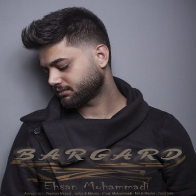 Ehsan Mohammadi