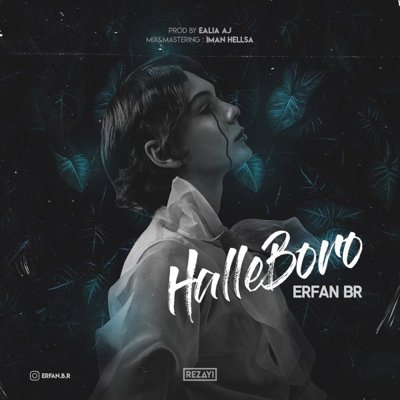 Erfan BR