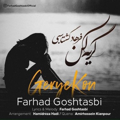 Farhad Goshtasbi