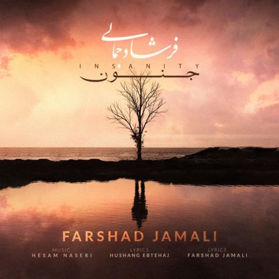 Farshad Jamali