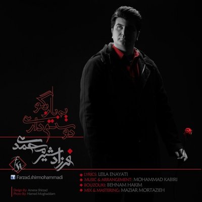 Farzad Shirmohammadi