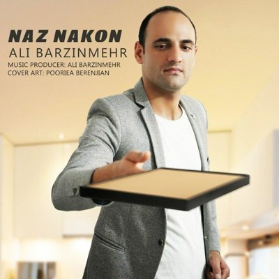 Ali Barzinmehr