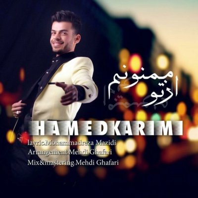Hamed Karimi