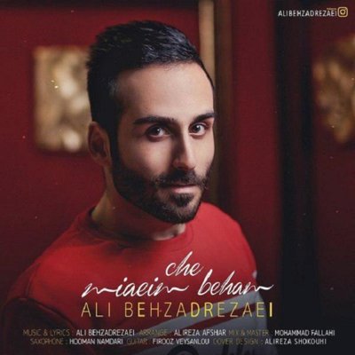 Ali Behzadrezaei
