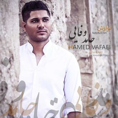 Hamed Vafaee