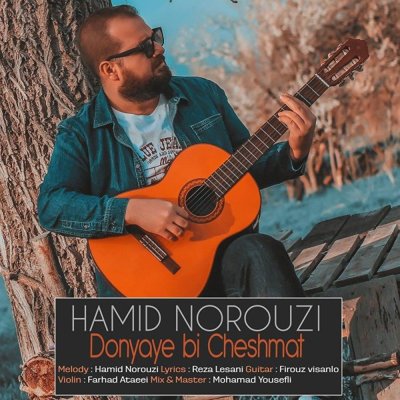 Hamid Norouzi