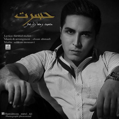 Hamidreza Zarei