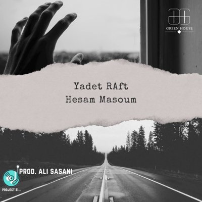 Hesam Masoum