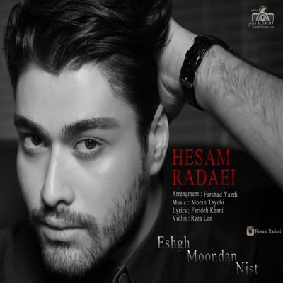 Hesam Radaei