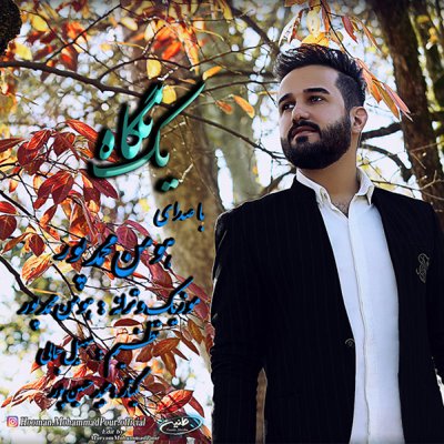 Hooman Mohammadpour