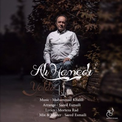Ali Hamedi