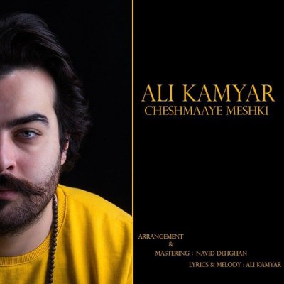 Ali Kamyar