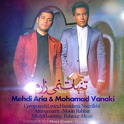 Mehdi Aria & Mohamad Vanaki