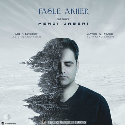 Mehdi Jaberi