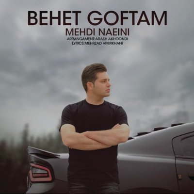 Mehdi Naeini