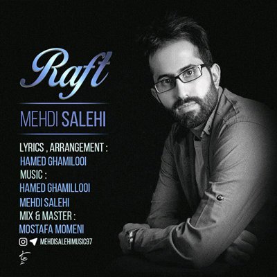 Mehdi Salehi