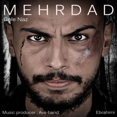 Mehrdad Ebrahimi