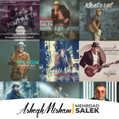 Mehrdad Salek