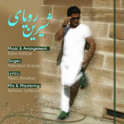 Mehrdad Shabibi