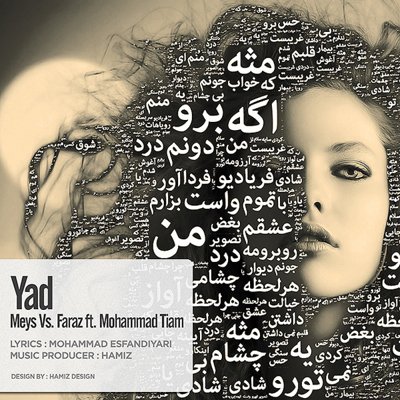 Meysam Dalaei