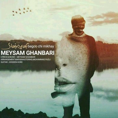 Meysam Ghanbari