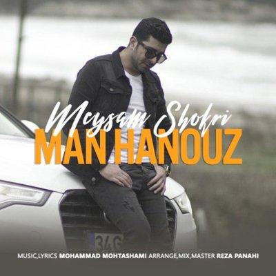 Meysam Shokri