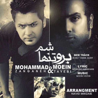 Moein Tayebi