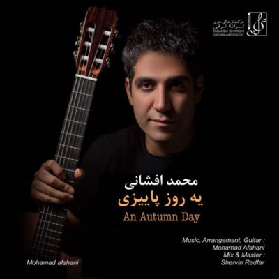 Mohamad Afshani