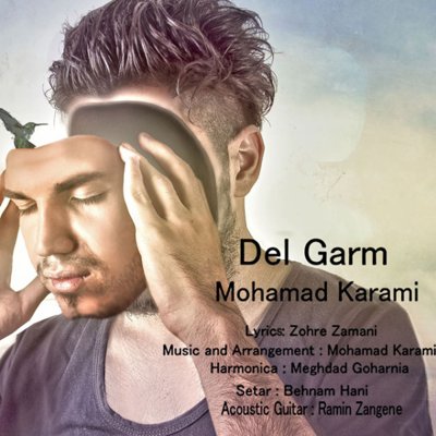 Mohamad Karami