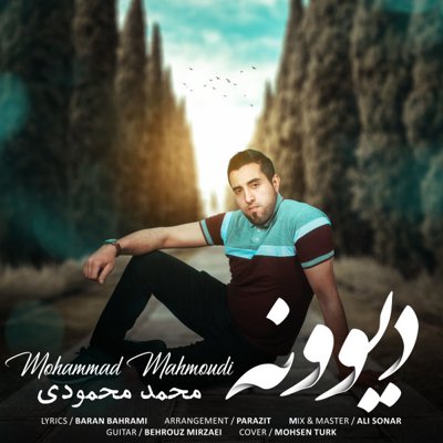 Mohamad Mahmoudi