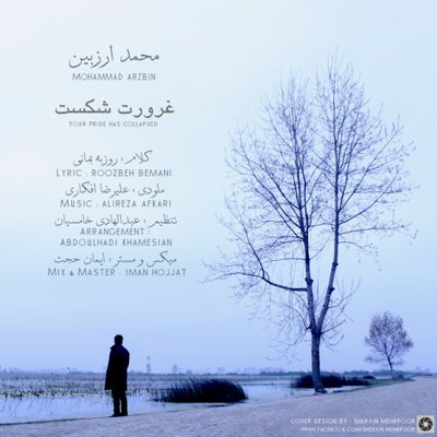Mohammad Arzbin