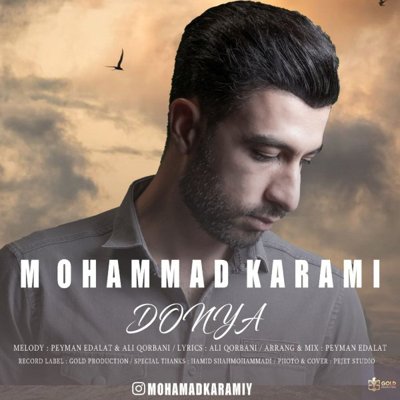 Mohammad Karami