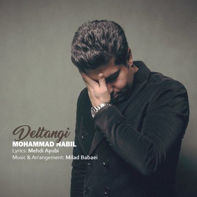 Mohammad Nabil