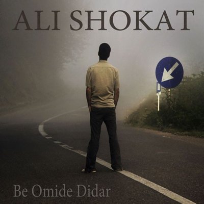 Ali Shokat