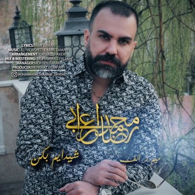Mohammad Reza Aarabi