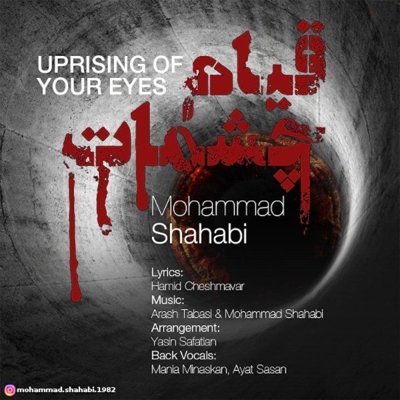 Mohammad Shahabi