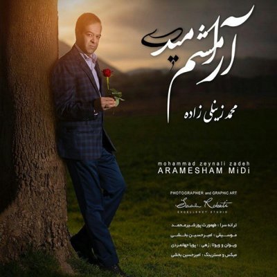 Mohammad Zenali Zadeh