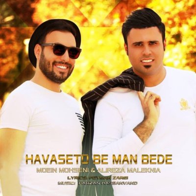 Moein Mohseni & Alireza Maleknia