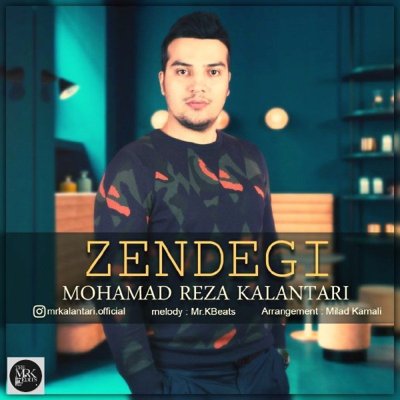 Mohammadreza Kalantari